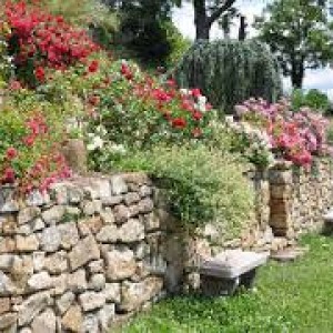 amenagement jardin muret pierre